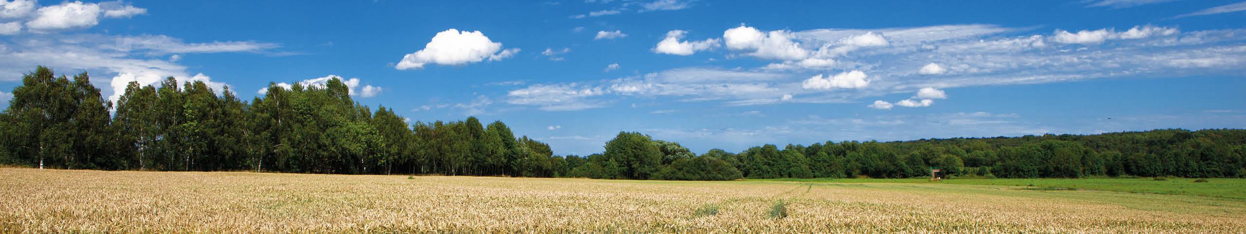 Banner Thüringen - Duitsland
